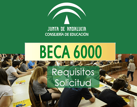 beca-6000-solicitud